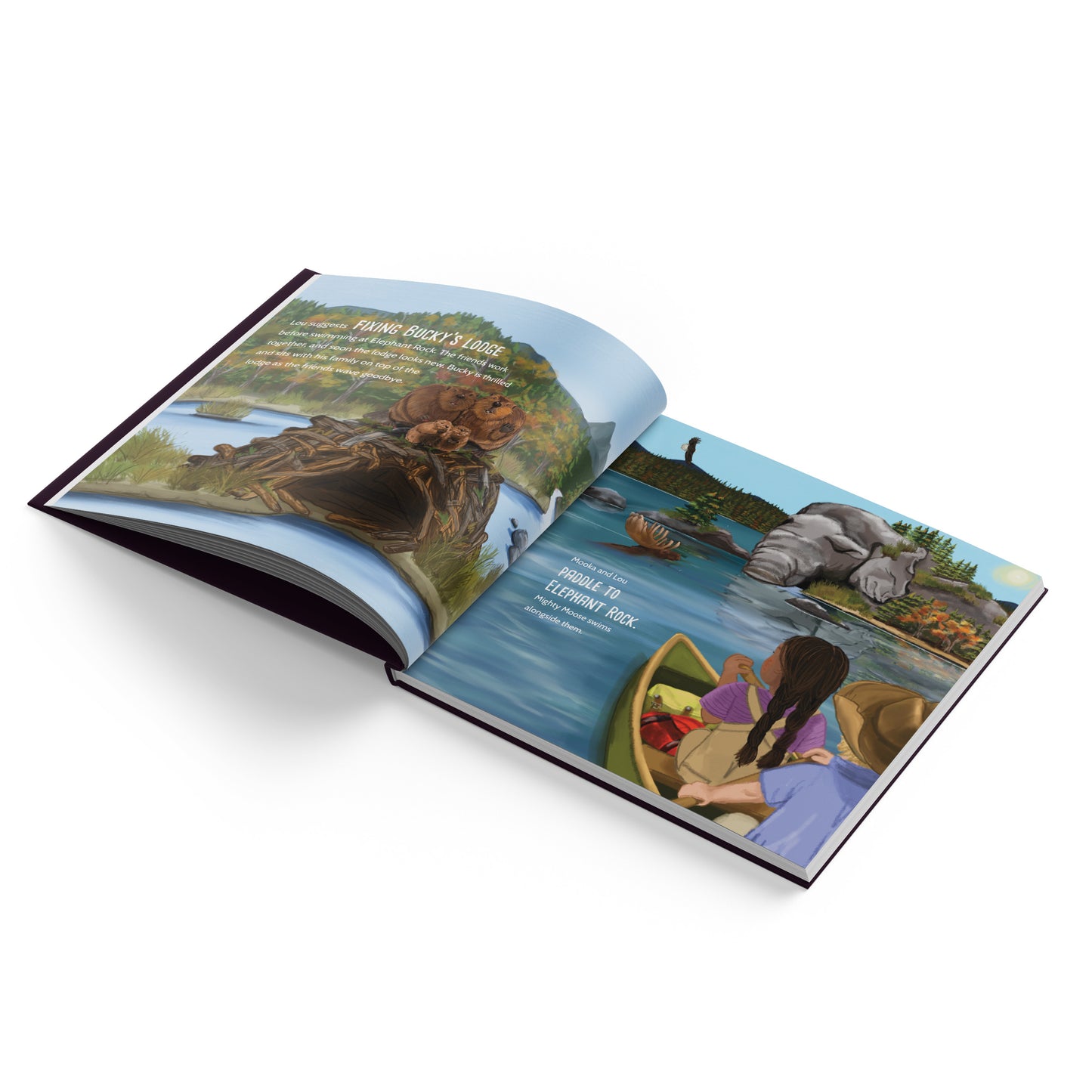 Beavers and Elephant Rock