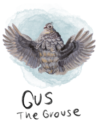 Illustration of Gus the Grouse, a small bird with a friendly demeanor, drumming his wings and dancing. He is a character in the book series 'The Adventures of Mooka & Lou,' appearing in some of the books.