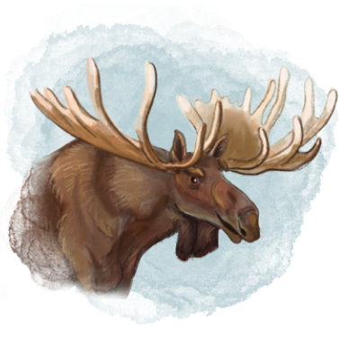 Illustration of Mighty Moose, a huge and gentle moose, standing tall with impressive antlers. He is a recurring character in the book series 'The Adventures of Mooka & Lou,' appearing throughout the series.